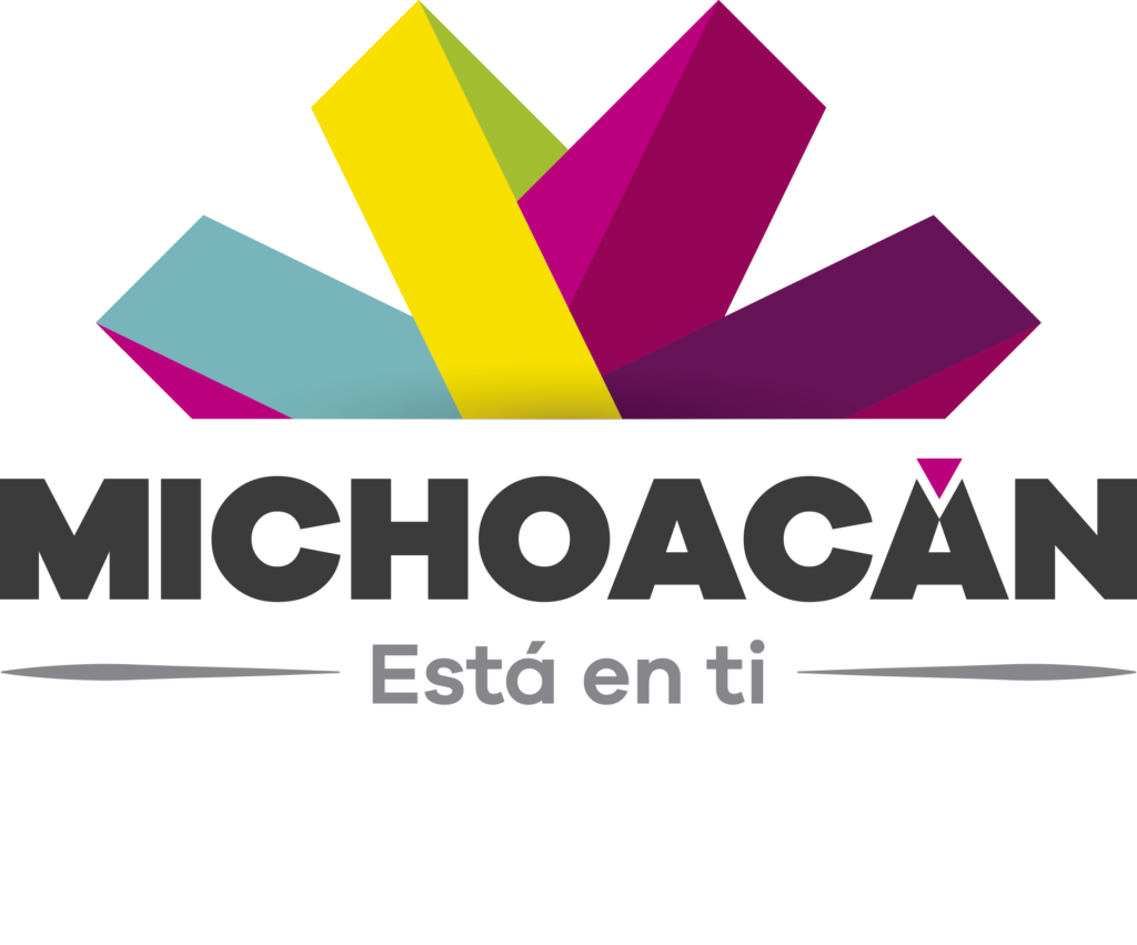 MICHOACAN internet speedy